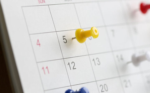 Einladung zum Casting für Ponyspringreiter in Waldenbuch | © AdobeStock