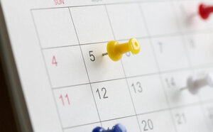Einladung zum Casting für Ponyspringreiter in Waldenbuch | © AdobeStock