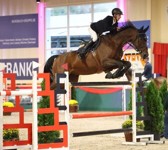 Marvin Jüngel landete im ersten 1.45 Meter-Springen von Bisingen einen Doppelsieg | © Roger Müller