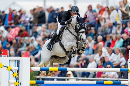 Armin Schäfer und Dante starten in Stuttgart in der Großen Tour | © Lafrentz