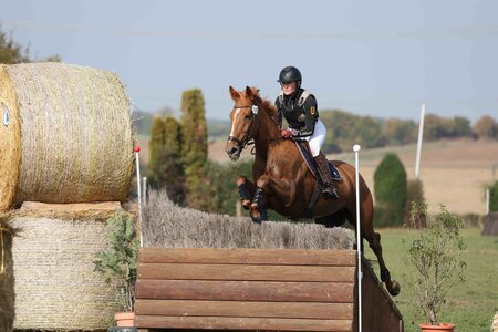 Katharina Dannegger und The Irish Factor | © D.Matthaes (Archiv)
