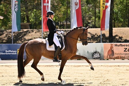 Claudia Rassmann und Bella Ducati traben im Moment von einem Sieg zum Nächsten. | © privat