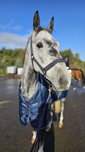 Monbeg Cazador | © privat