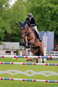 Alessi Reich pilotierte Galadermie PP Z zum Sieg (Archiv). | © Dill